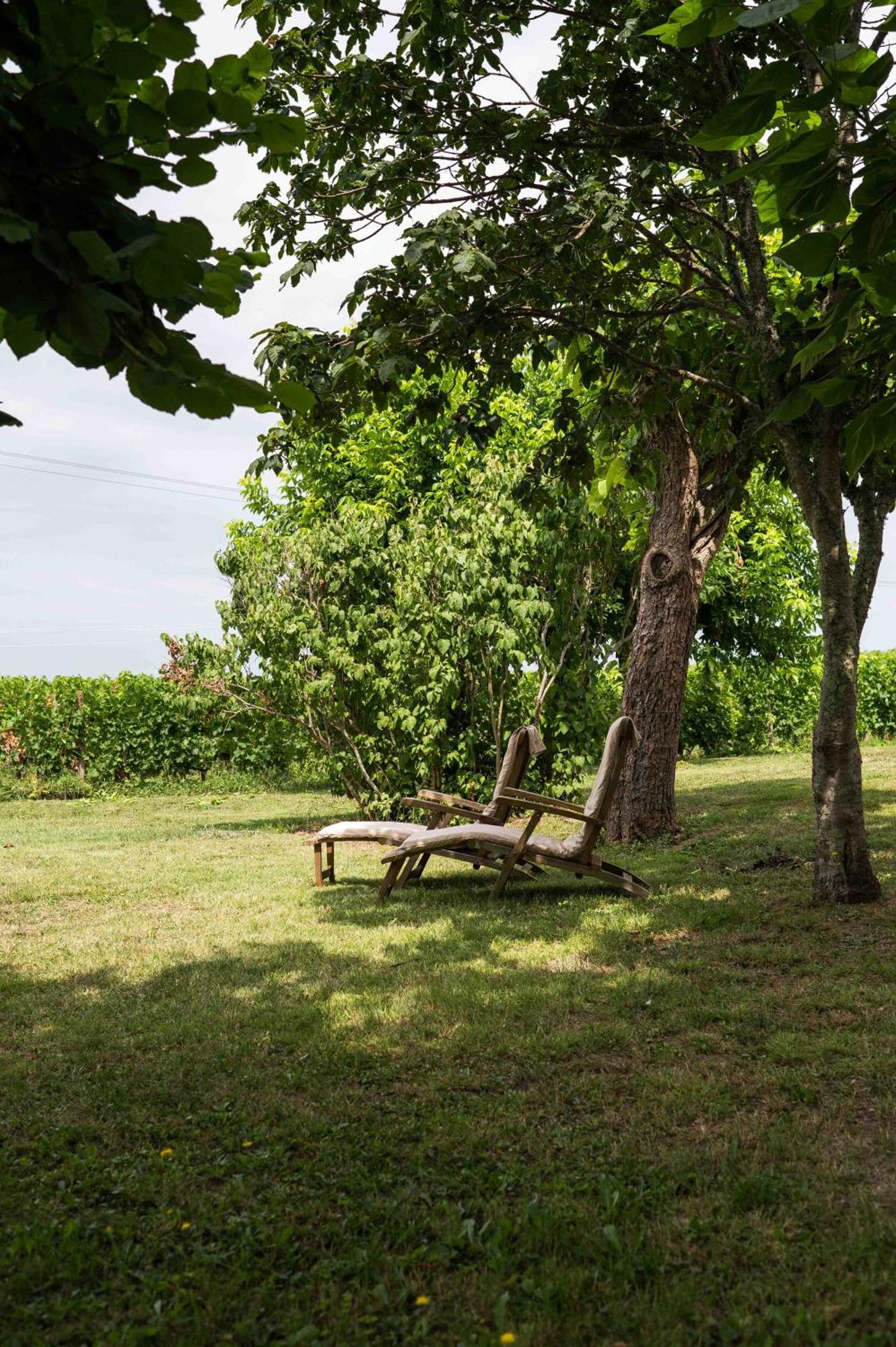 Clos De La Barbanne Монтань Екстер'єр фото